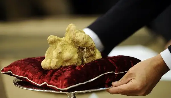 12th World White Truffle of Alba Auction