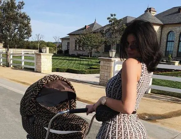 Fendi Stroller