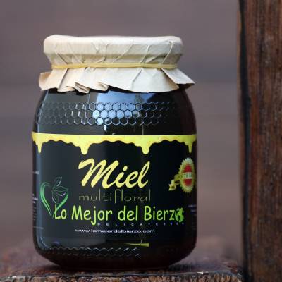 Miel Lo Mejor del Bierz