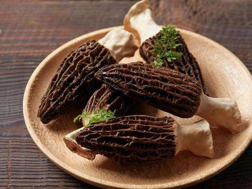 Morel Mushrooms