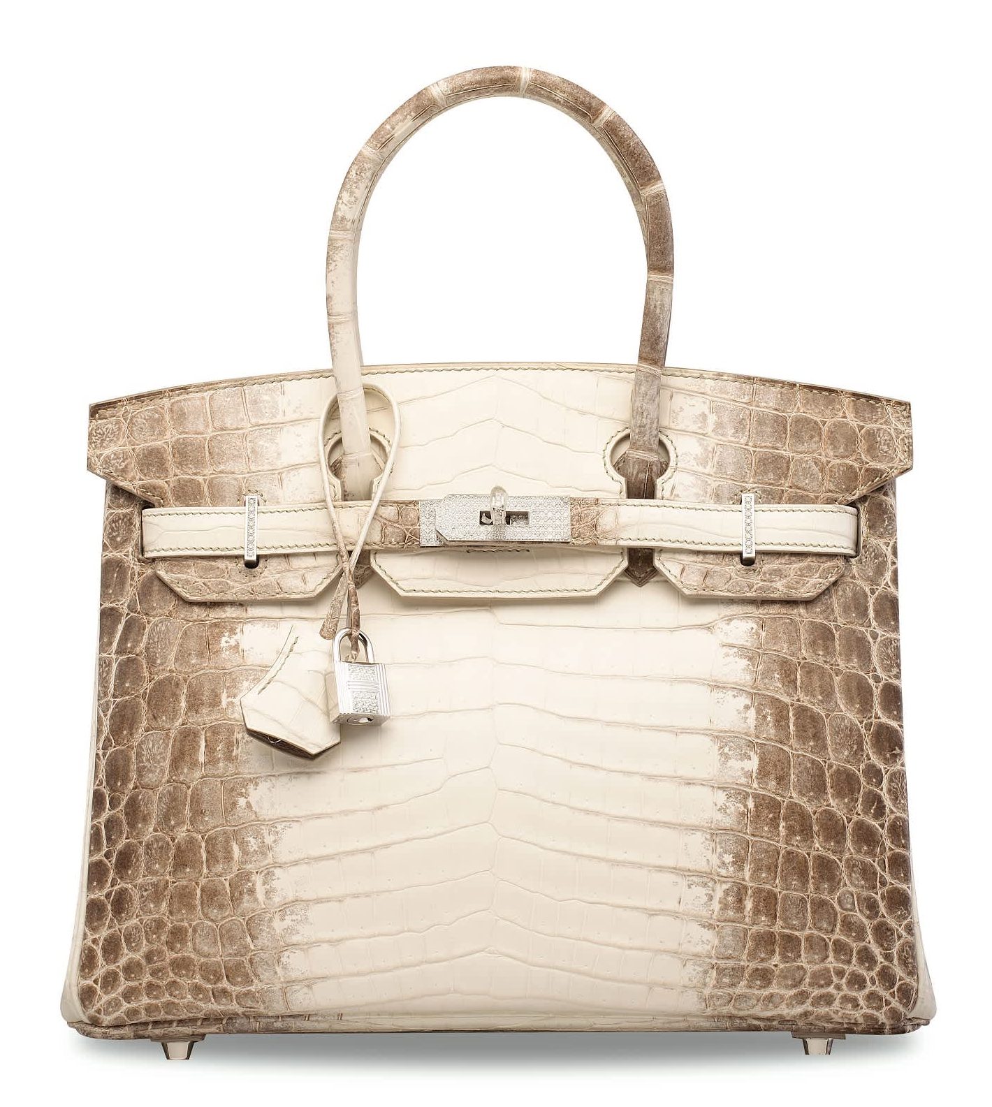 Niloticus Crocodile Himalaya Birkin