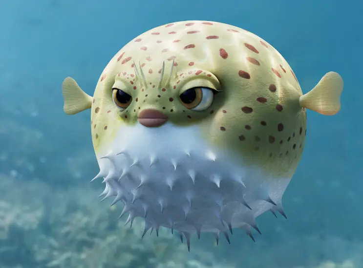 Puffer Fish