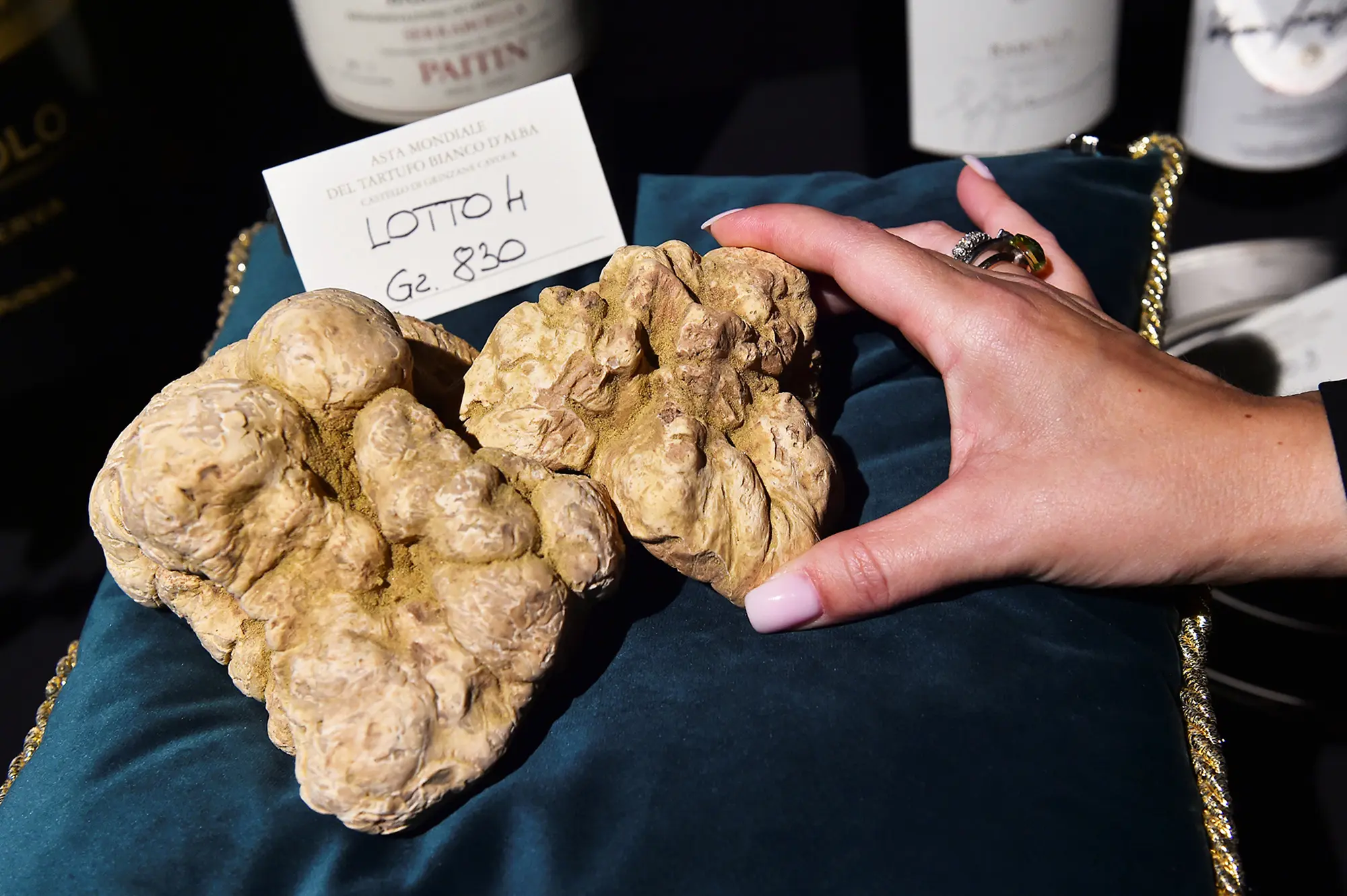 The Giant Italian White Truffle