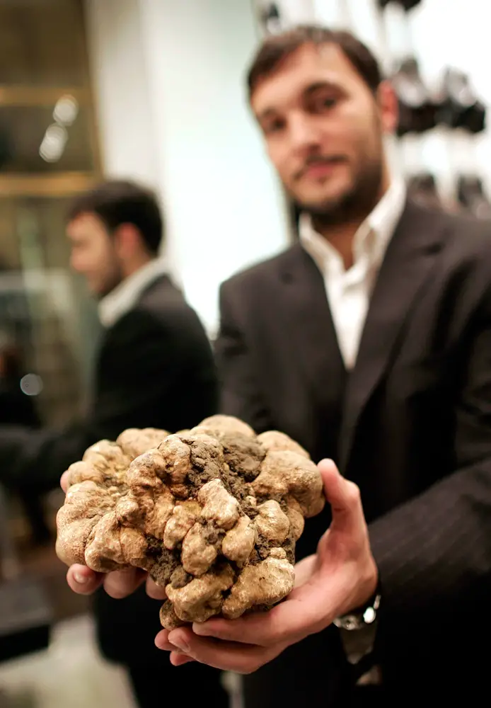 Tuscany Truffle 2007