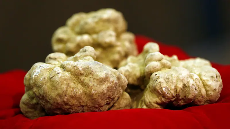 White Truffle Trio