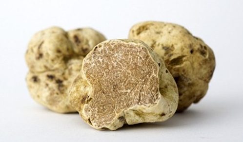 White truffles