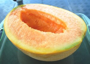 Yubari King Melon